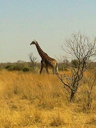 Welgedacht Game Reserve